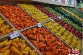 (高质量发展调研行)走进“蔬菜小镇”，看寿光蔬菜为何这么强图片