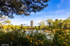 进一次北大要10800元，如此组织“研学”，是物有所值还是“割韭菜”？图片