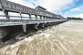 “七下八上” 闻“汛”而动图片