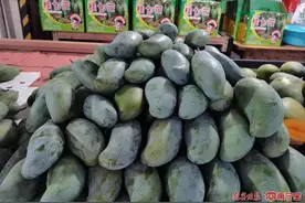 芒果自由来了！桂七芒大量上市，10元3斤！图片