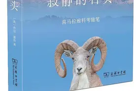 《寂静的石头》：喜马拉雅野生动物科考之旅，绝望中的希冀图片