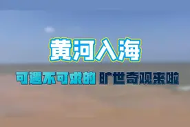 黄河入海，可遇不可求的“黄蓝交汇”旷世奇观图片