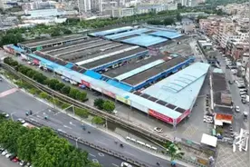 污水横流、隐匿山林，记者深夜暗访活禽私宰点发现……图片