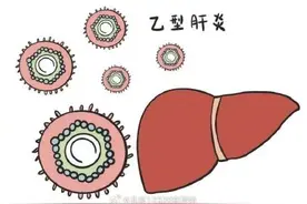 日常接触会被传染乙肝吗？图片