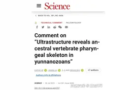 云南虫不是脊椎动物？西大古生物研究团队在Science杂志发文验证图片