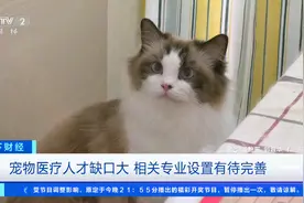 执业兽医缺口达30万人！我国宠物诊疗市场规模近700亿元图片