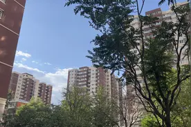 央地协同让老楼有“里”有“面”图片