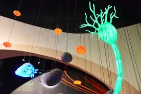 【科学强国】揭秘干细胞图片