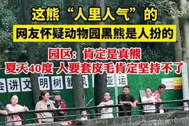 网友怀疑动物园黑熊是人扮的，园区：肯定是真熊，夏天40度，人要套皮毛肯定坚持不了图片