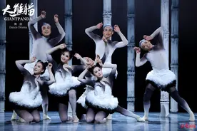 舞剧《大熊猫》成都公演备受好评 观众：很震撼，超出想象图片