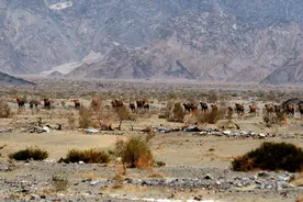 生人勿进！国内四大无人区到底有多危险？图片