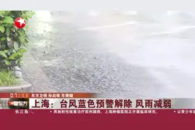 上海：台风蓝色预警解除 风雨减弱