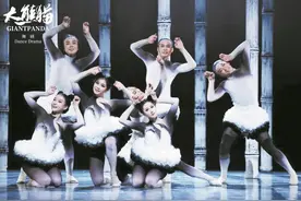 舞剧《大熊猫》将在大运会期间连续演出8场 向世界展示极富中国特色大熊猫IP图片