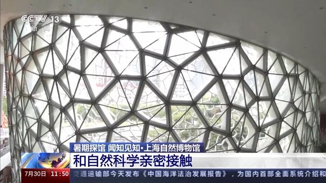 在互动中探索自然 这家热门博物馆有哪些特别的馆藏？