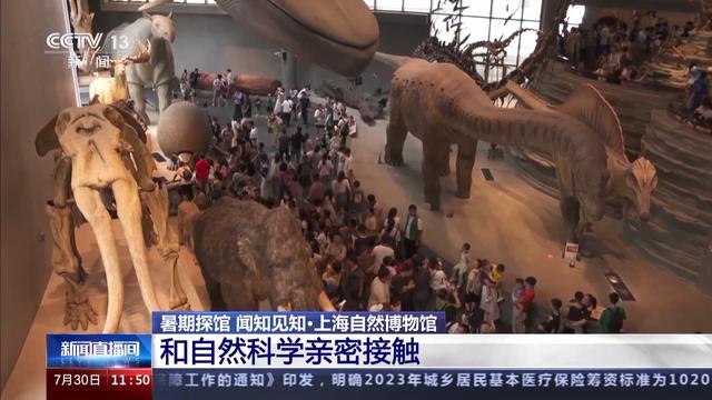 在互动中探索自然 这家热门博物馆有哪些特别的馆藏？