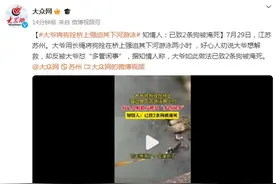大爷将狗拴桥上强迫其下河游泳 知情人：已致2条狗被淹死图片