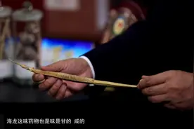 海马、海龙、紫贝齿……原来这些都是神奇的海洋中药图片