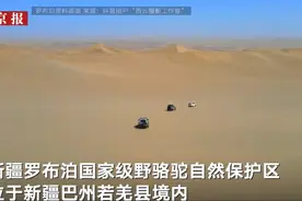擅自穿越罗布泊4人遇难，野外探险不能“玩命” | 新京报快评图片
