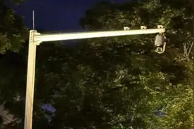 海南环岛高速出现激光灯幕？交警回应来了图片