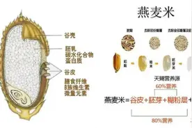 全谷物我们吃得太少！为了健康，都来多吃点吧！图片