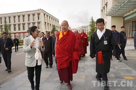 班禅：汲取各民族传统医学 保护传承好人类文明遗产图片