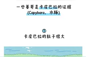 卡皮巴拉，终于火啦图片