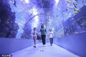 临沂：盛夏时节 市民海洋馆内享清凉图片