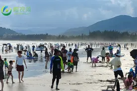 挖沙游泳、冲浪玩海！万宁神州半岛迎暑期亲子游热图片
