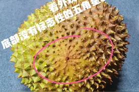 本来生活被指售卖疑似假冒猫山王榴莲，平台：配合监管部门调查图片