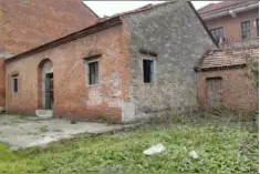 把根留住图片