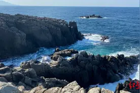 日本两名艺术系女生跳崖轻生被救下，自杀理由是觉得人生“被人工智能毁掉了”图片