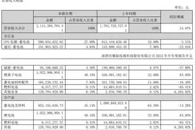 雄韬股份发半年报  “含氢量”还剩几成？项目进度零  营收占比不到1%图片