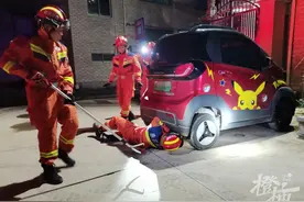 深夜，“陆地第四大毒蛇”爬进汽车图片