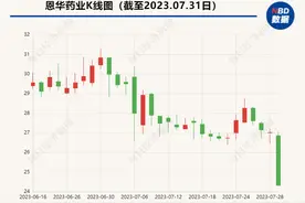 恩华药业披露半年报：营收净利创新高，次日股价却跌停，原因何在？图片
