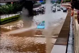 燃油车主看呆：电动车“漂”过积水路，水花数米高！网友：车船税没白交！专家：风险大…图片