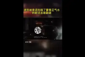 果然视频|男子开车被查出酒驾，自称喝了藿香正气水，到底咋回事图片