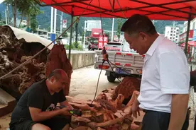 毕节：独腿男人和他的30多位残疾兄妹图片