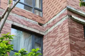 共建共享美好社区！宝山这些居民区“微改造”改出更多幸福感图片