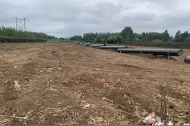 青岛西海岸新区红石崖街道圆满完成“创新突破月”专项行动图片