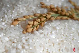 全球疯抢大米！起因又是印度？图片