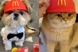 麦当劳打工帽为啥突然火了？图片