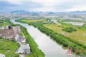 练江治水显成效！绘就水清岸绿生态画卷图片