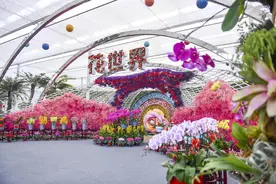 漯河：足不出漯 嗨玩沙澧图片