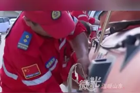 温暖山东丨定陶斑马救援，驰援河北涿州图片