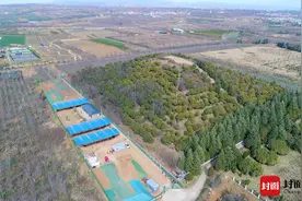 封面深镜｜汉文帝皇家苑囿什么样？霸陵考古揭秘：有大熊猫、亚洲貘，还配有“饲养员”图片