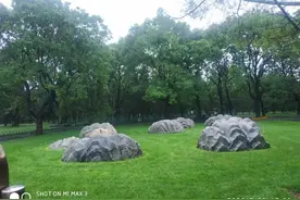 夏天的颜色｜烟台中小学生习作园地图片