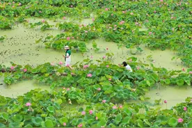 潮声丨勇夺全国县域旅游百强榜三个第一，浙江没有秘密图片