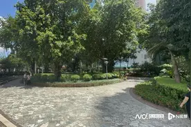 深圳一小区绿地将改操场惹质疑 街道办：已明确为学校用地图片