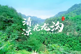 寻迹自贡丨清凉花龙沟图片