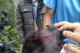 吓人！云南一男子上山捡菌，黑熊冲了过来图片